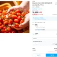 [오늘신선] 국내산 로얄과 대추방울토마토 2kg 당일수확 산지직송