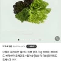 유러피안 샐러드 야채 상추 1kg 쌈채소 버터헤드 바타비아 로메인등 5종