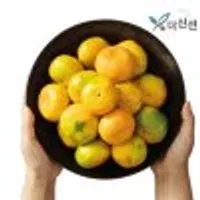 (코인딜) 제주 서귀포 햇 감귤 4.5kg 중대과