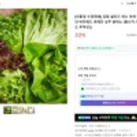 유럽 샐러드 채소 야채 1kg 유러피안 버터헤드 로메인 상추 쌈채소