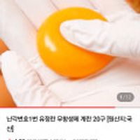 제품 이미지