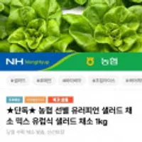 제품 이미지