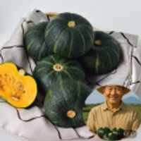 제품 이미지