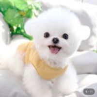 제품 이미지