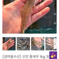 제품 이미지